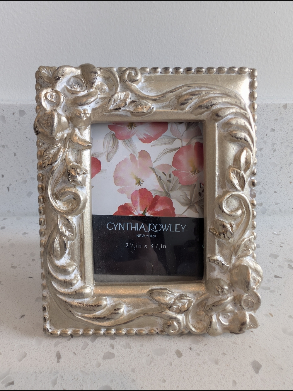 Cynthia Rowley Light Gold Ornate Photo Frame - Decorative Home Accent